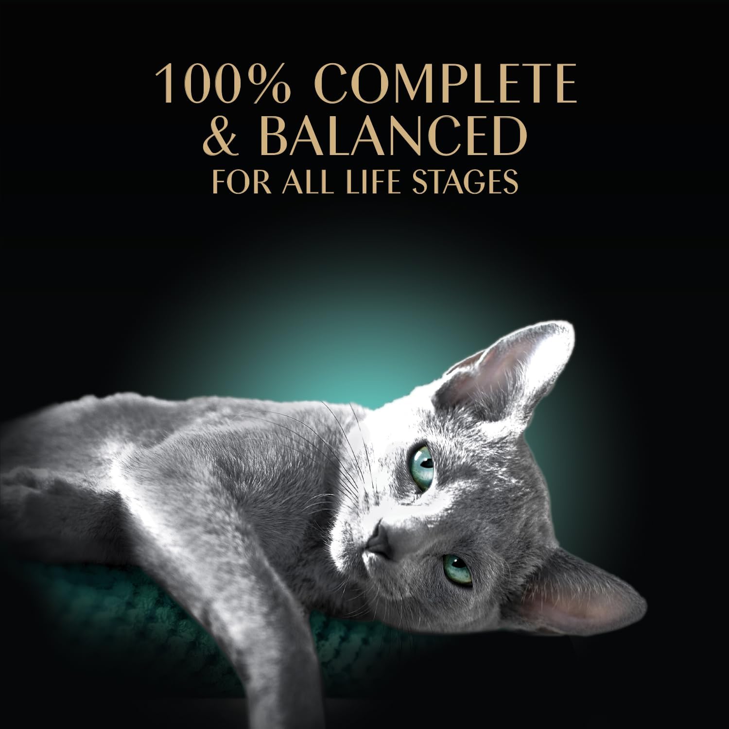 Sheba Perfect Portions Pate Wet Cat Food, Seafood Pack, 2.6 oz, 12 ct, 2pk | Grain-free, made in USA, Salmon & Whitefish-Tuna, 48 servings total, sustainable seafood, twin-pack trays