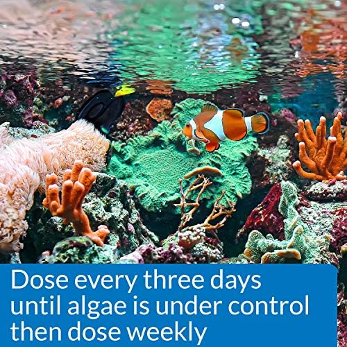 API MARINE ALGAEFIX Algae Control 16-Ounce Bottle