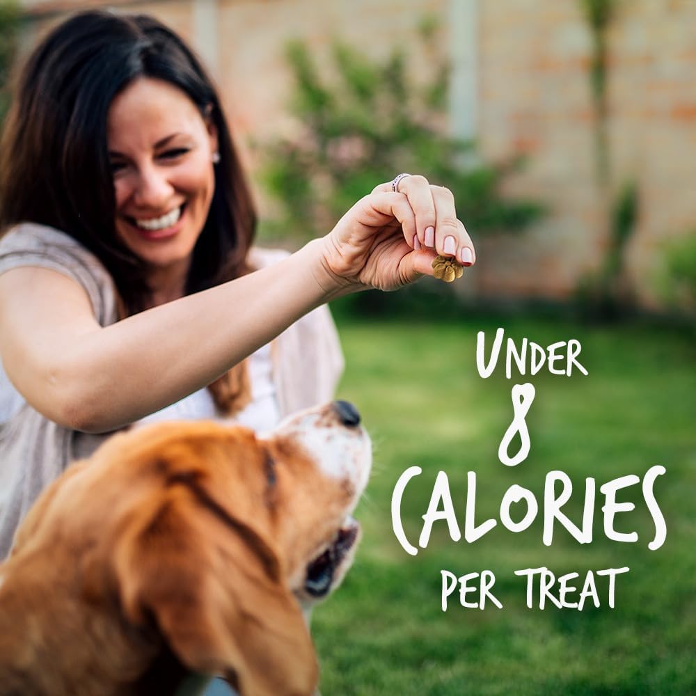 Fruitables Baked Dog Treats, Low Calorie Treats, Pumpkin & Banana, 7oz | Healthy Dog Treats, Training Treats, Crunchy Dog Biscuits, Limited Ingredient Recipe, Healthy Puppy Snacks, Made in USA
