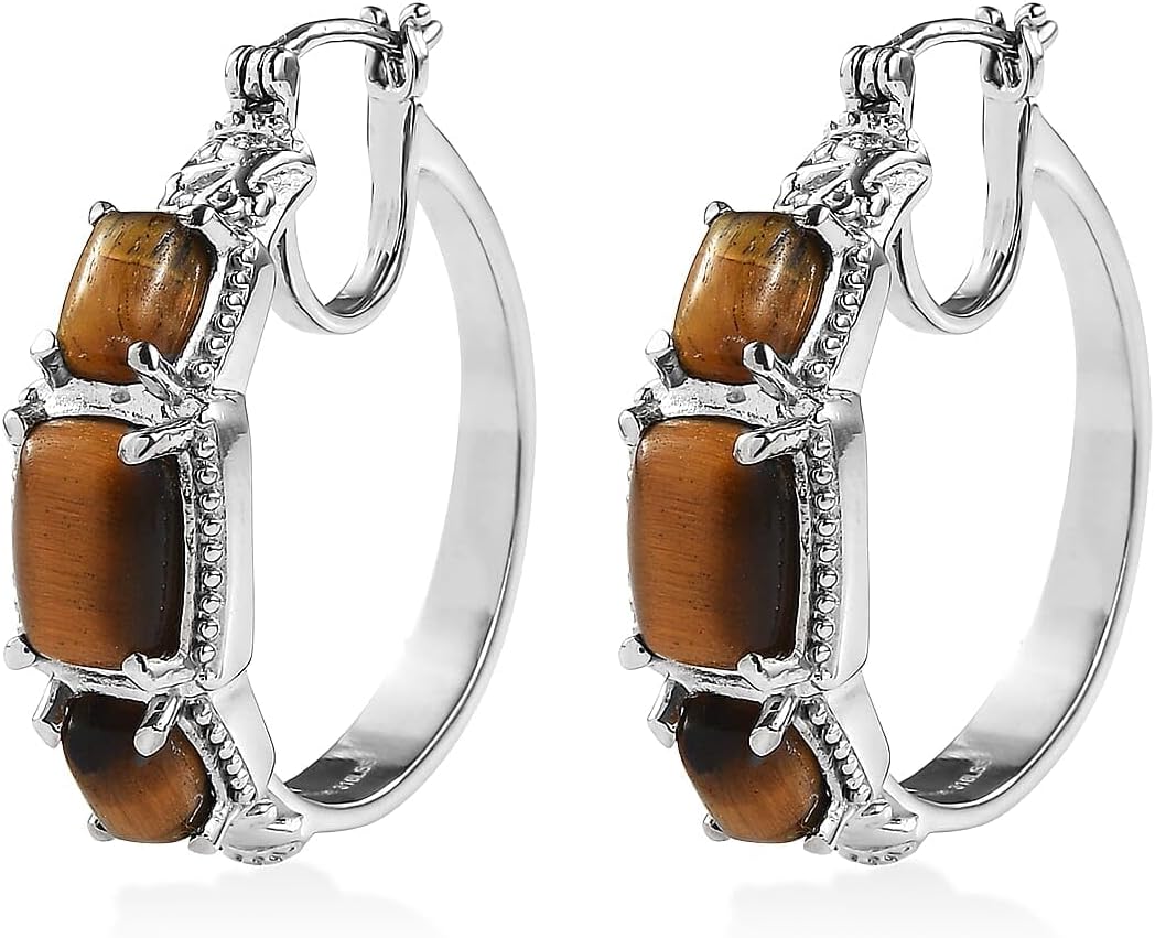 Tigers Eye 10.50 ctw Earrings in Stainless Steel