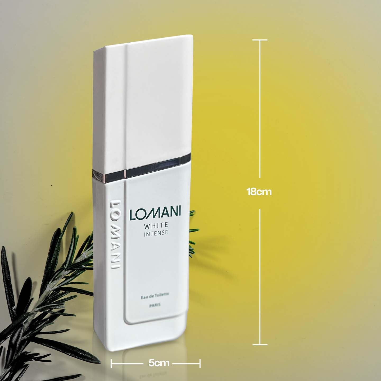 Lomani white intense for men - 3.3 Ounce edt spray, 3.3 Ounce