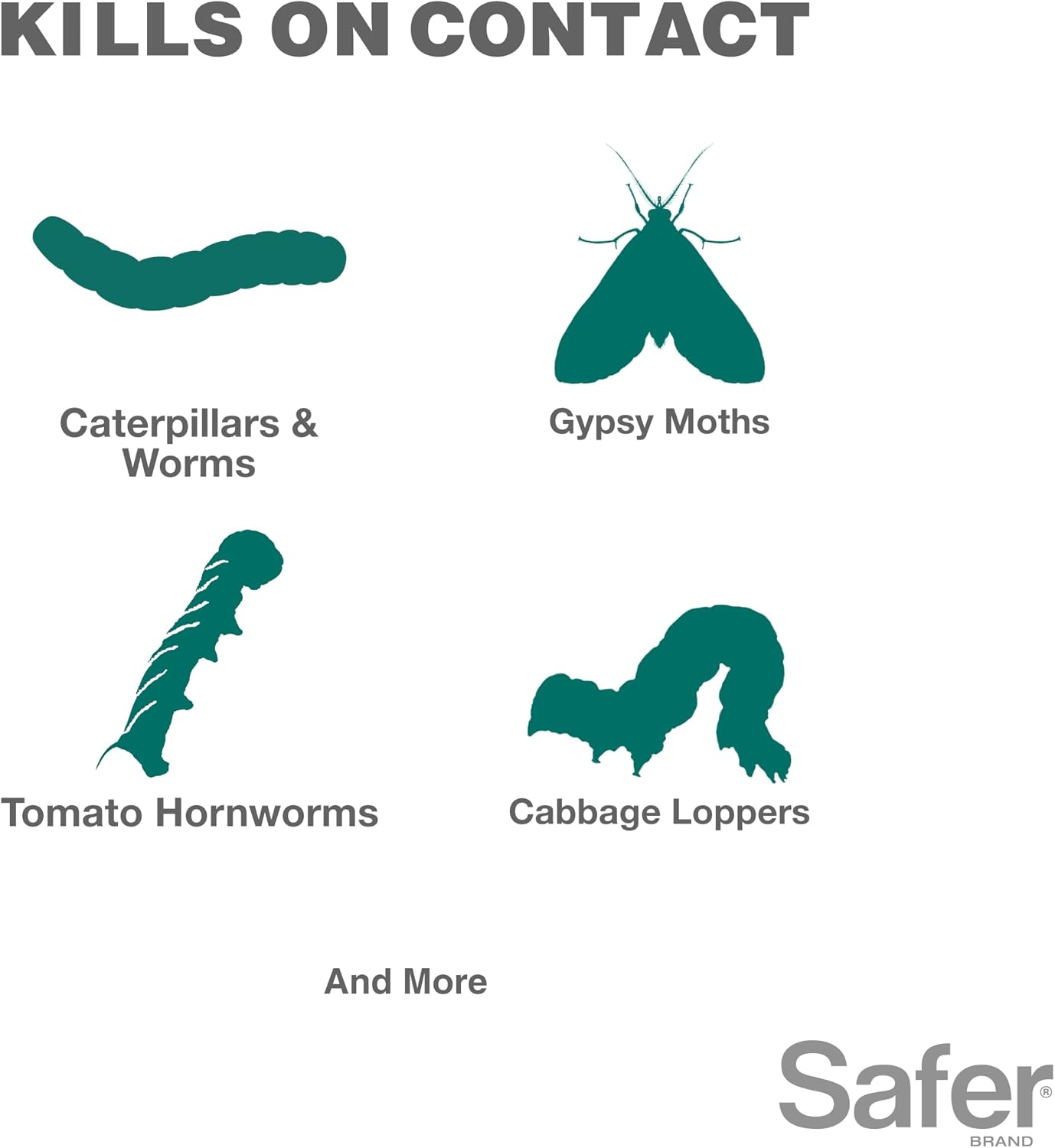 Safer Brand Caterpillar Killer II Concentrate Spray, 16 fl oz | Kills Caterpillars, Gypsy Moth Larvae, Worms & Cabbage Loopers, Organic Pest Control Spray, Outdoor Use in Plants & Gardens