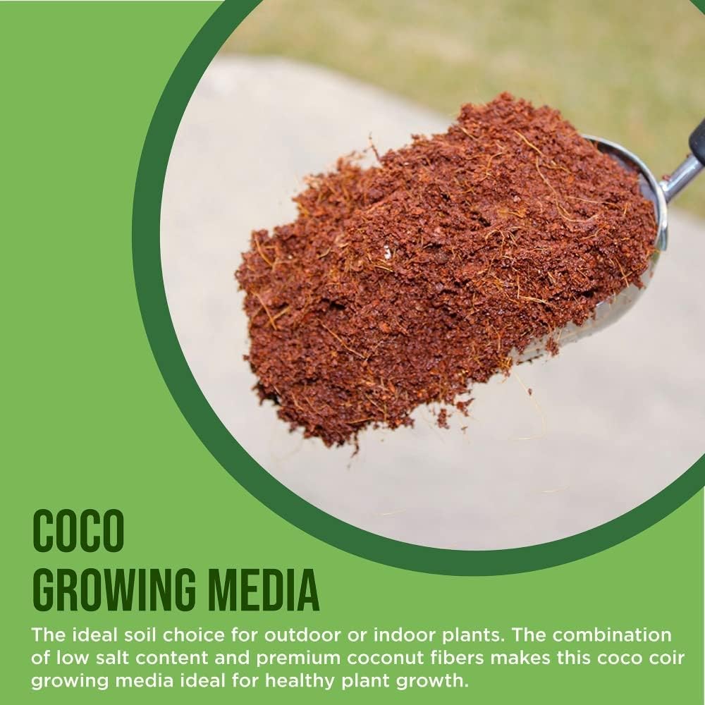 Envelor Organic Coco Coir Brick 10 Lbs. Coir Block Coconut Fiber Growing Medium Potting Soil Mix Coco Peat Media Coir Pith Indoor Outdoor Planters Vegetable Garden Beds