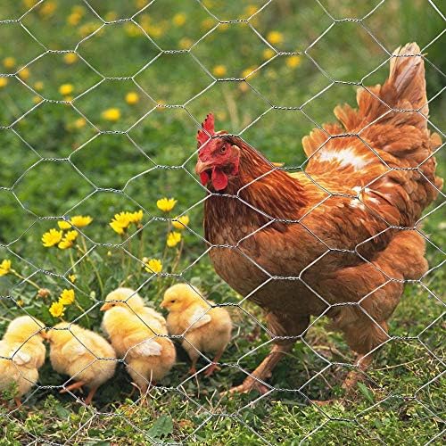 20GA Galvanized 12in x 25ft x 2in Mesh Chicken Wire Hexagonal Poultry Netting