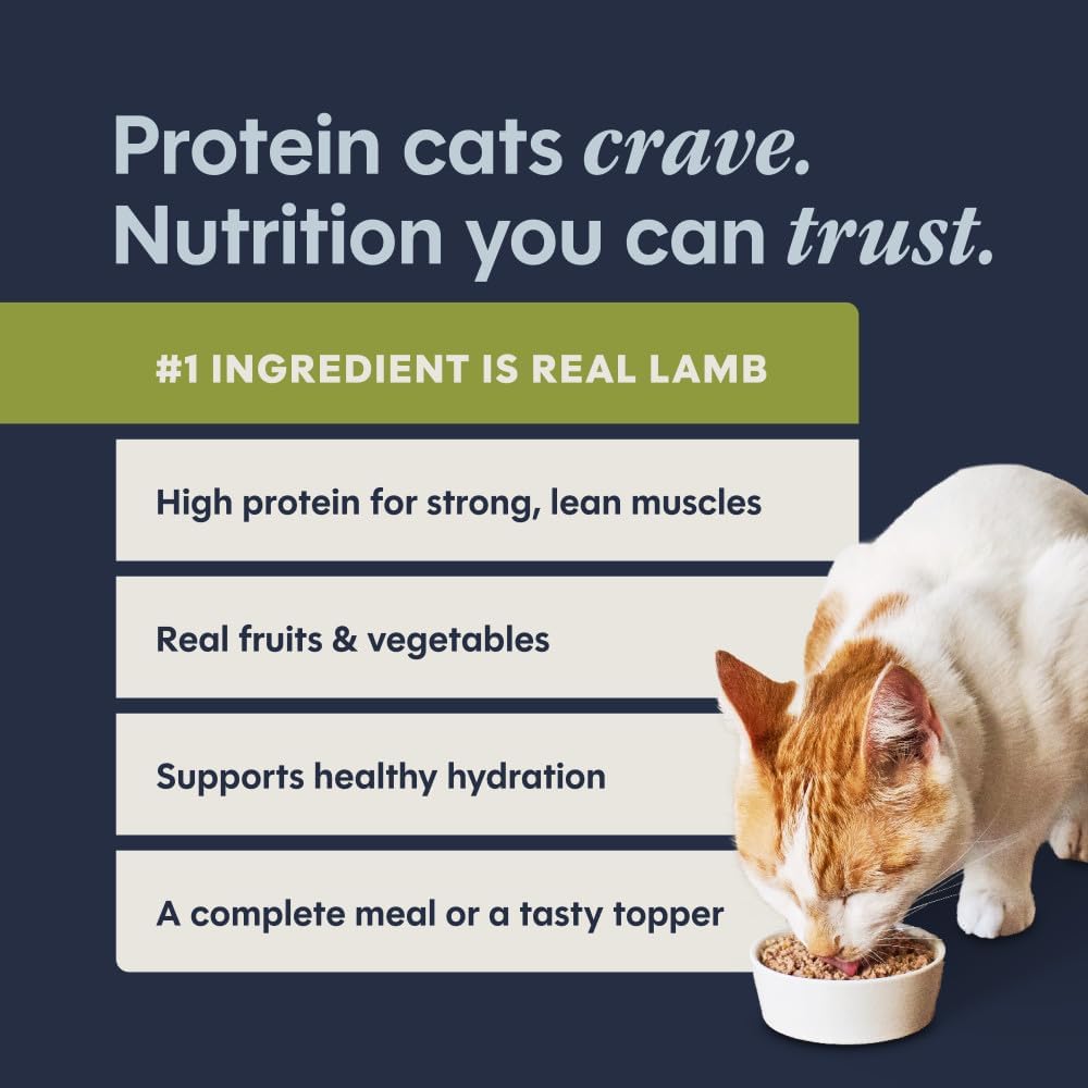 Instinct Original Grain Free Real Rabbit Recipe Natural Wet Canned Cat Food, 3 oz. Cans (Case of 24) | Rich & creamy pate texture, high protein, real rabbit, whole-food ingredients, grain-free, hydration support