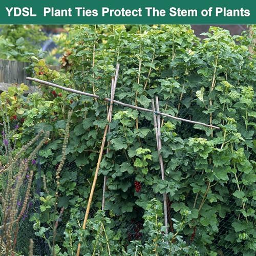 YDSL Soft Plant Tie, Garden Wire Tie for Plants Heavy Duty Reusable Plant Twist Ties for Gardening Home Office (Green, 32.8 feet)