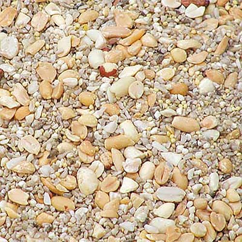 BestNest Wild Bird Seed Mix, Waste Free Blend, 100 lbs.