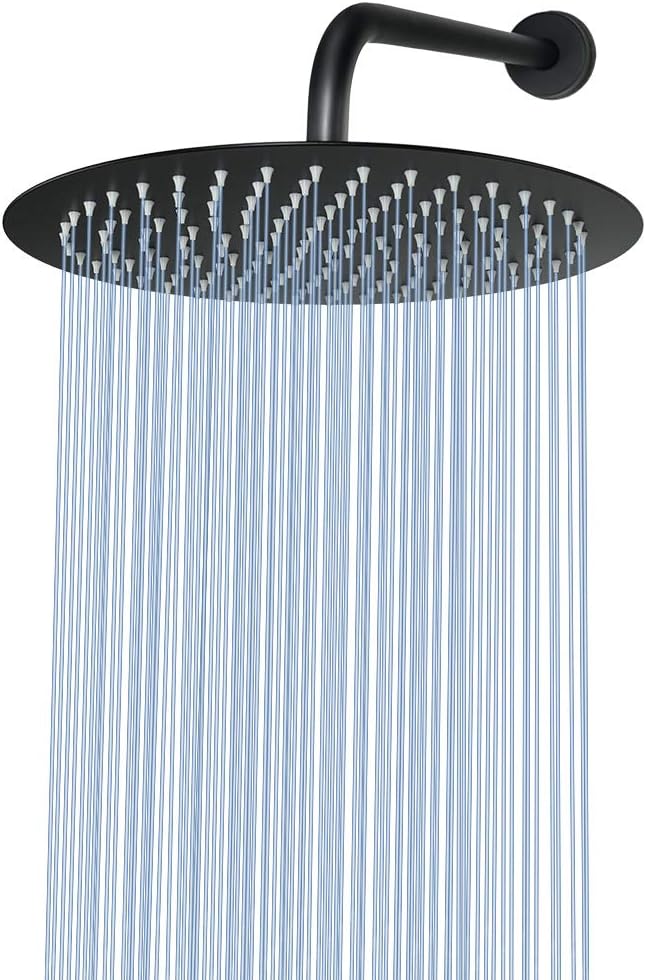 NearMoon Rain Shower Head, Ultra-Thin Design-Pressure Boosting, Awesome Some Experience, High Flow Stainless Steel Rainfall Head (10 Inch