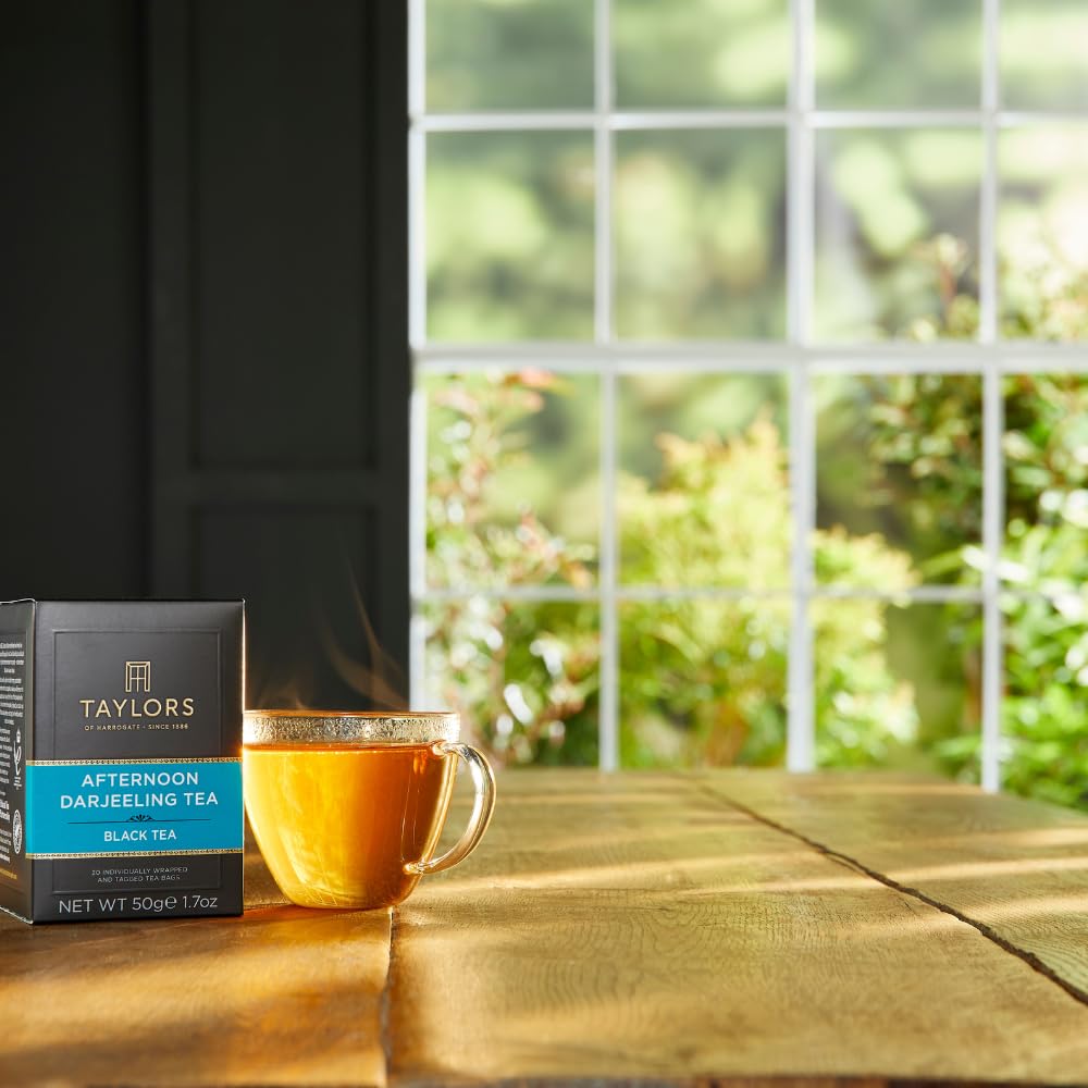 Taylors of Harrogate Green Tea with Jasmine, Individually Wrapped Bags, 20 Count (Pack of 1), Delicate, Floral & Sweet, Caffeinated, Enjoy Hot or Iced, 20 Teabags