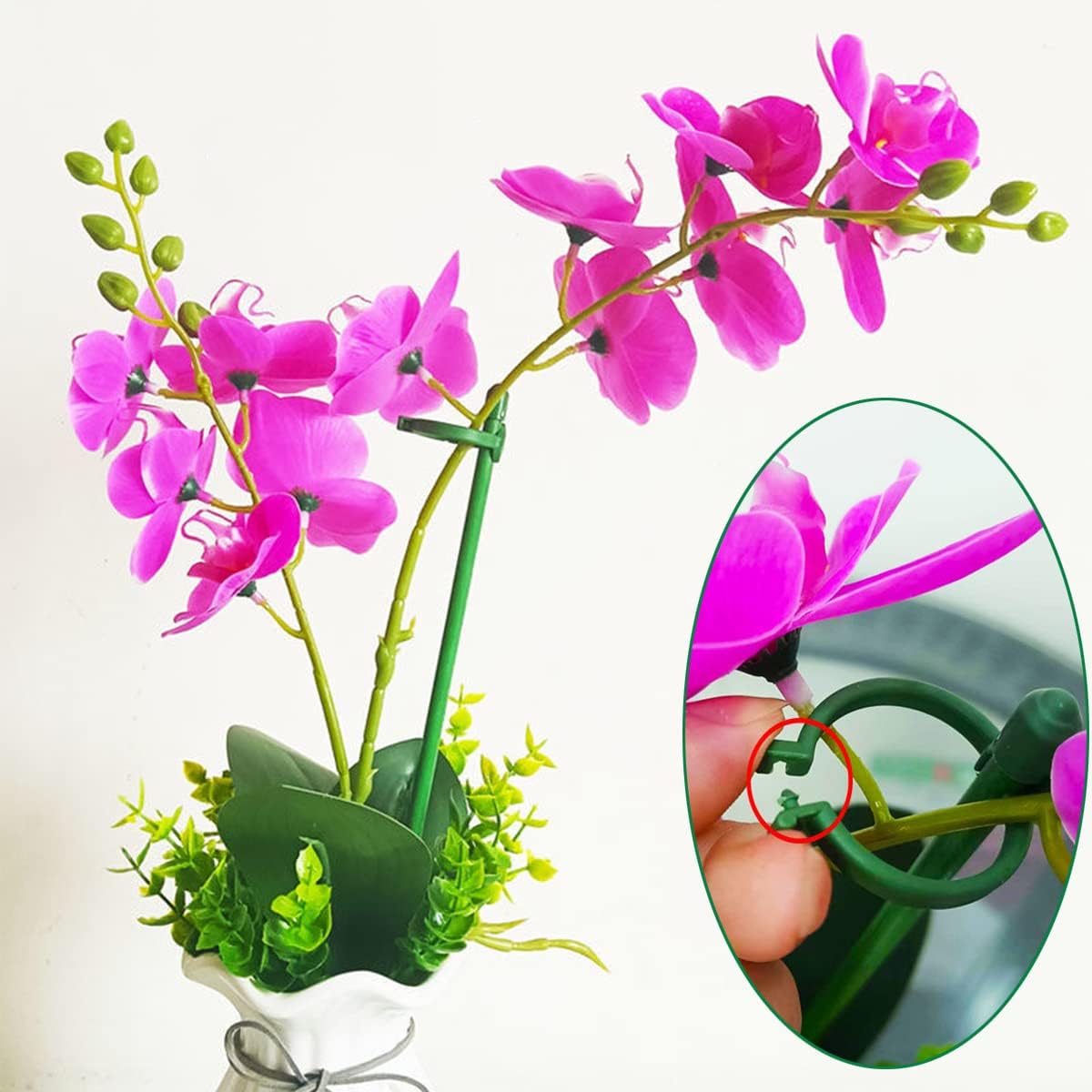 Belit 8 Pack Plant Supports for Small Plants, Garden Flowers Green Plant Support Ring, Planter Support Ring for Schlumbergera, Clivia, Succulents