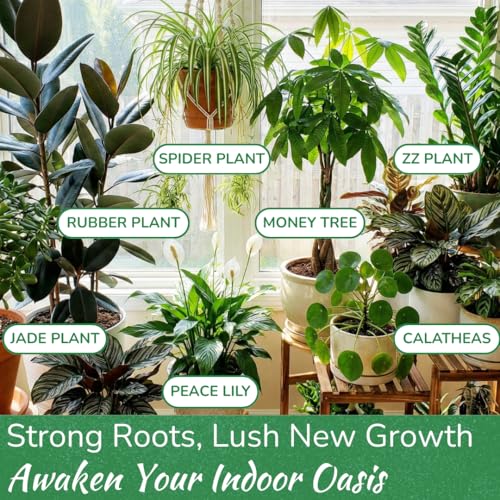Indoor Plant Food by Houseplant Resource Center - Organic Liquid Fertilizer for Pothos, Peace Lily, Monstera, Cactus and More - 8 oz