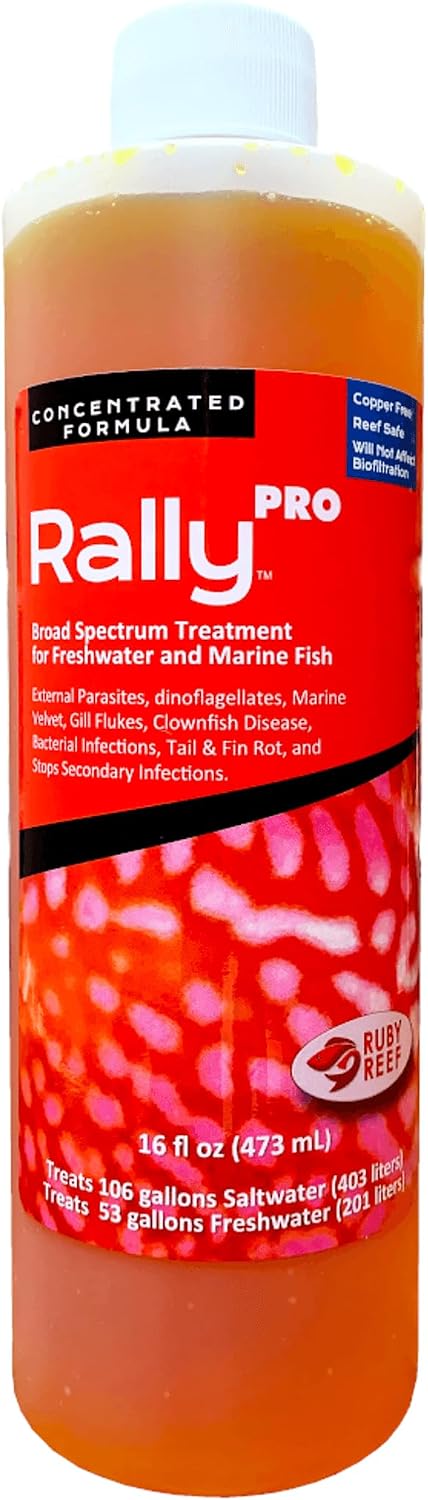 Rally Pro 8 oz. Round ( Pack of 2 )