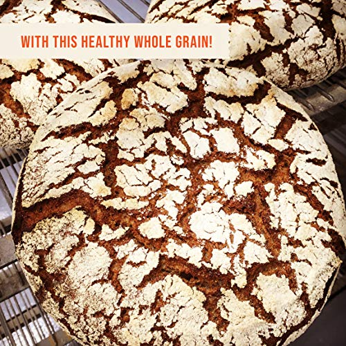Organic 100% Whole Wheat Hi-Pro Fine Flour – 25 lb. bag