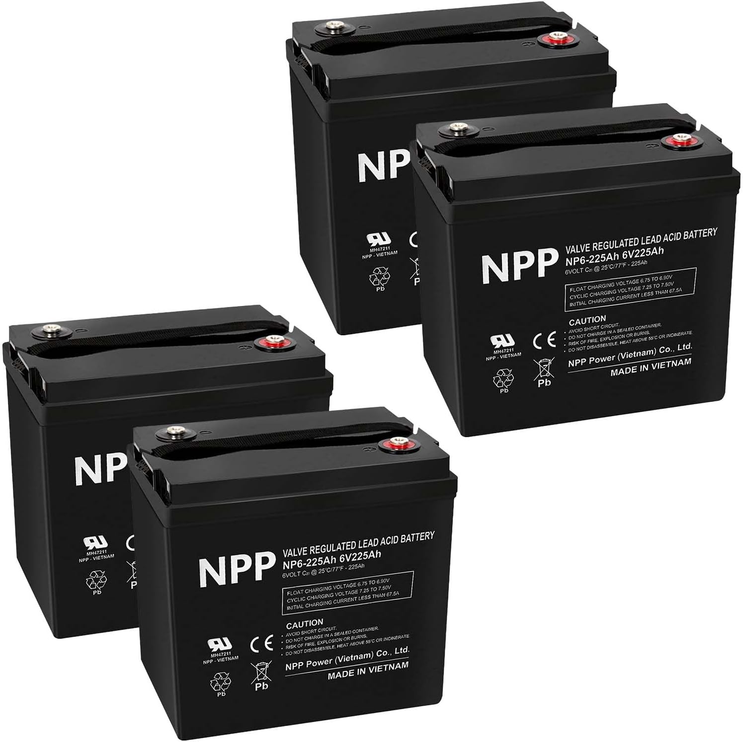 NPP 6V 225Ah AGM SLA Battery with T16 (M8) Terminal for Golf Cart (2 Pcs)