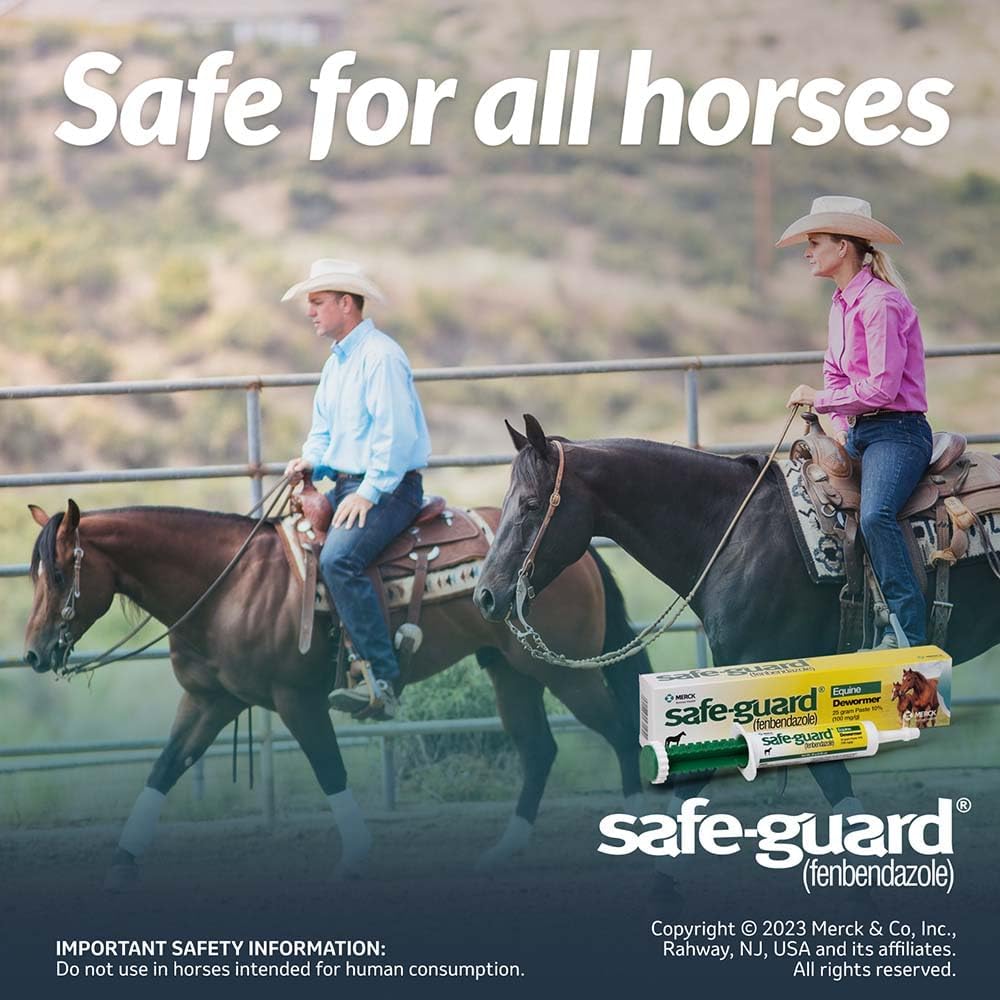 Merck Animal Safe Guard 25 Gram Paste Equine Dewormer