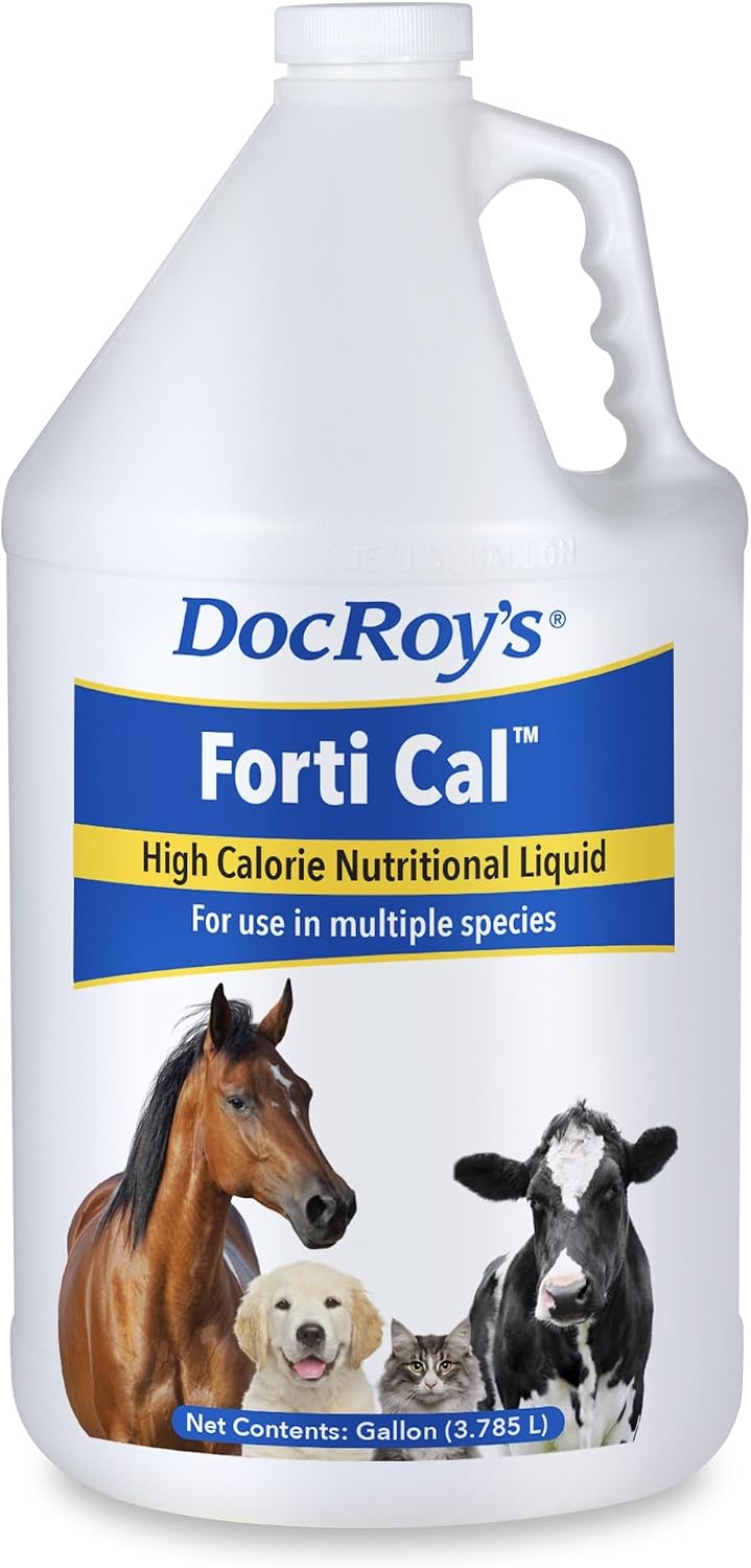 Doc Roys Forti Cal Liquid Energy Supplement for Dogs, Cats, Horses and Parrots, Natural Glucose Source with Soluble and Insoluble Fiber, Vanilla Flavor, Gallon