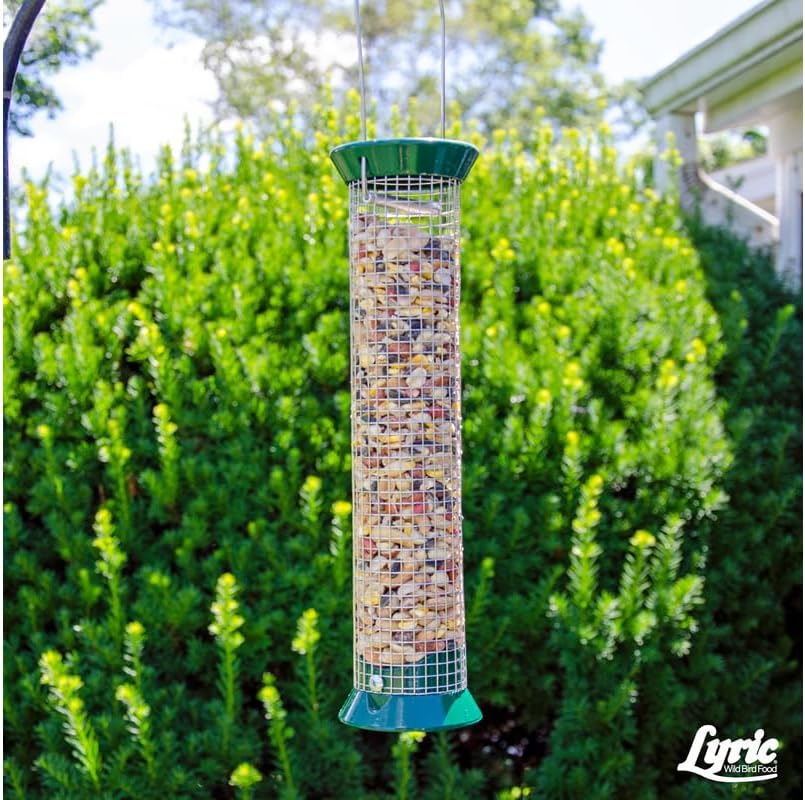 Lyric Fruit and Nut Wild Bird Seed - High Energy Wild Bird Food Mix - Attracts Woodpeckers, Chickadees & Other Songbirds -5 lb. Bag | Attracts Woodpeckers, Chickadees and other songbirds