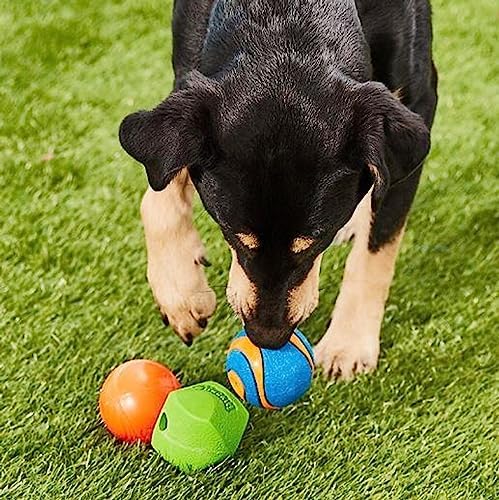 Chuckit! Fetch Pack Dog Balls - Interactive Dog Toys, High-Bounce Fetch Ball, Floating Ultra and Rugged Balls, Durable - Size Small, 2-inch Diameter, Set of 3