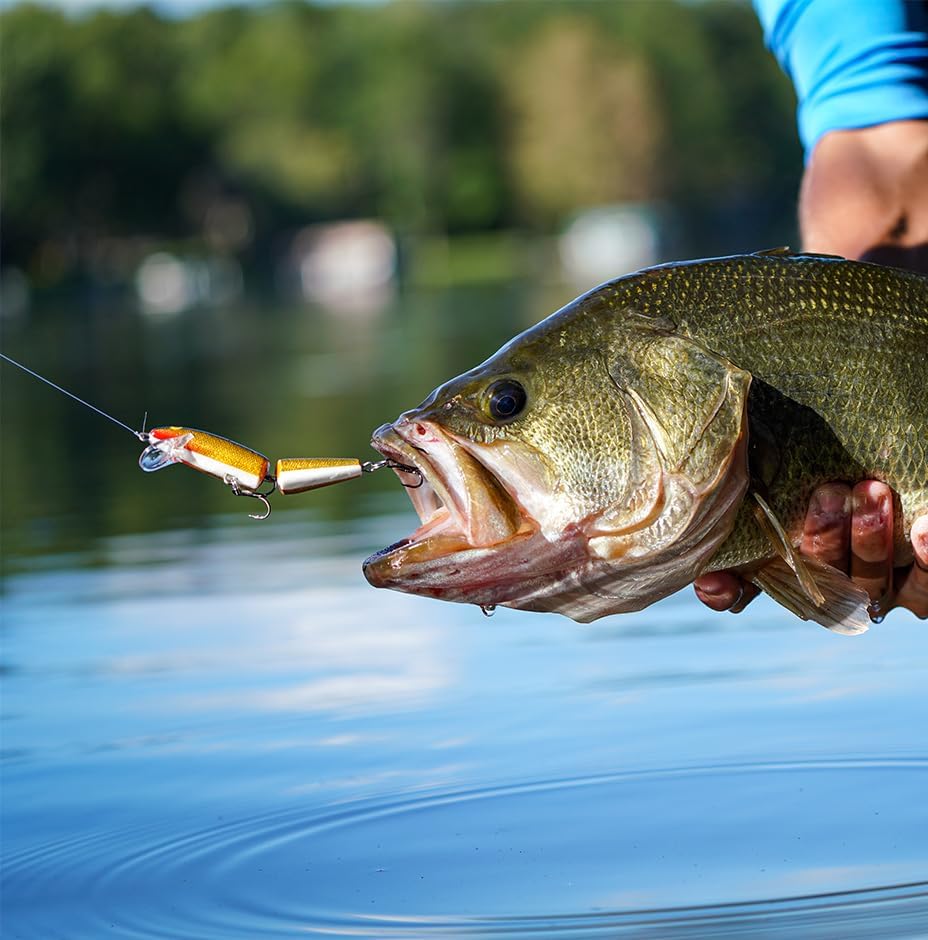 Rapala Jointed 09 Fishing Lures
