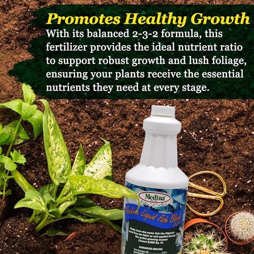 Medina Liquid Fish Blend Fertilizer 2-3-2, 1 Gallon | Gro, Bloom, and Lush Gardens, Seaweed Enriched Plant Food, Vibrant Growth and Blooms, Available