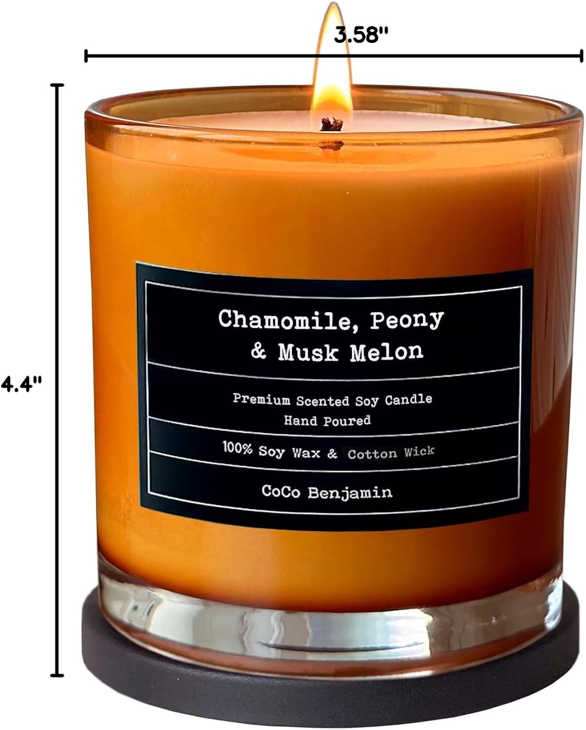 100% Natural Soy Wax Candle by CoCo Benjamin - Highly Scented & Hand-Poured Luxury Candle ((Majestic Balsam Fir Trees) - Clean Burning Cotton Wick