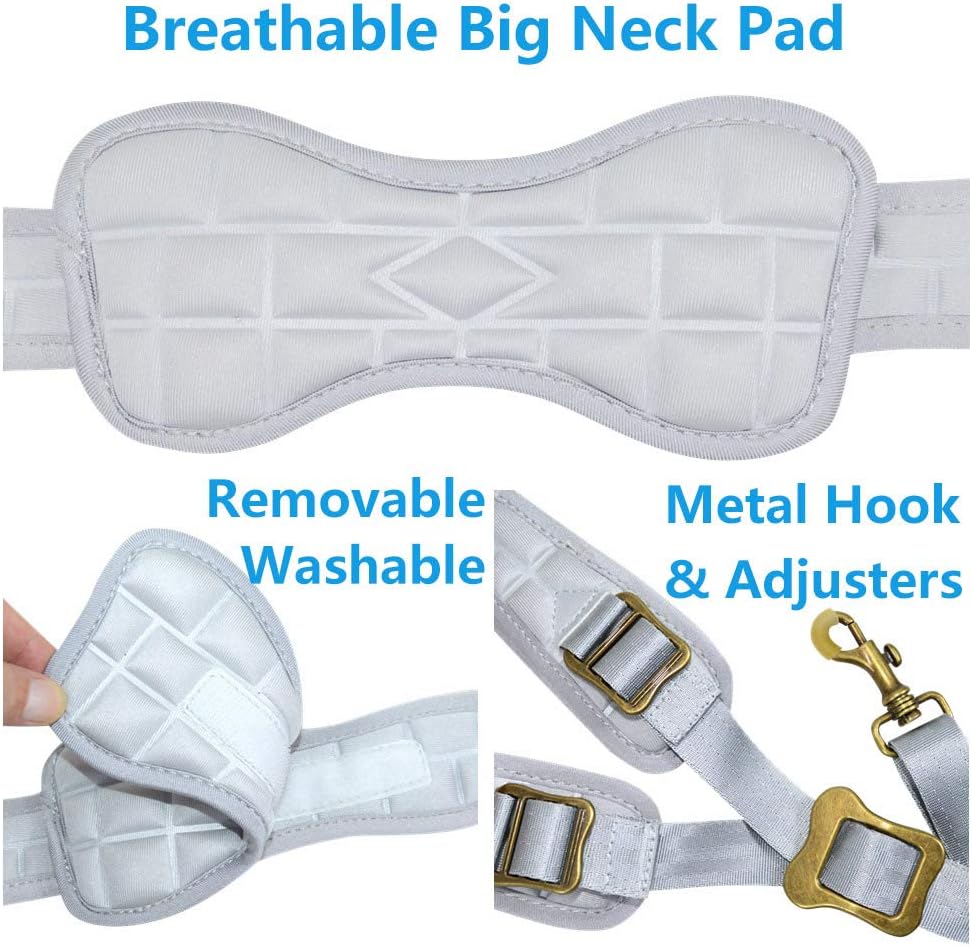 adorence Saxophone Neck Strap with Removable Washable Neck Pad - H04 Black