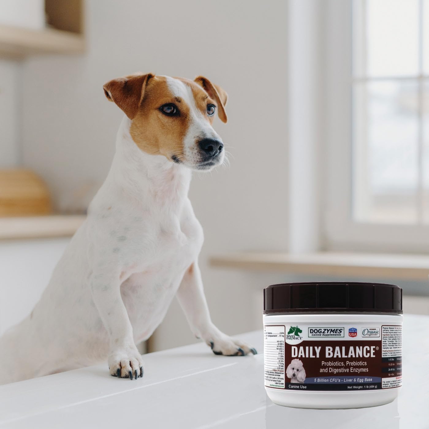 Dogzymes Probiotic Daily Balance - Supplies Nutritional Support and Live microorganisms for intestinal Well-Being as Well as enzymes for Proper Digestion. Liver and Egg Base. (1 Pound)