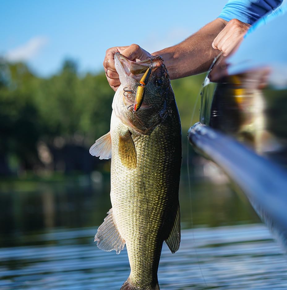 Rapala Jointed 09 Fishing Lures