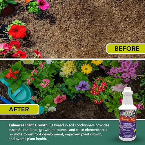 Medina Plus Soil Activator - Liquid Soil Loosener for Lawns & Gardens - Micronutrient-Rich Soil Conditioner & Softener - Used with House Plant Fertilizer, Liquid Plant Food for Houseplants - 1 End Qt