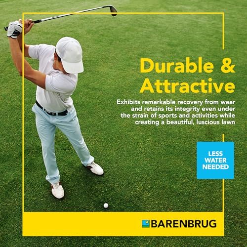 Barenbrug Turf Blue Healthy Grass Technology Grass Seed with Yellow Jacket Coating - Heavy Traffic Seed for Use on Sports Fields, Golf Courses, Parks