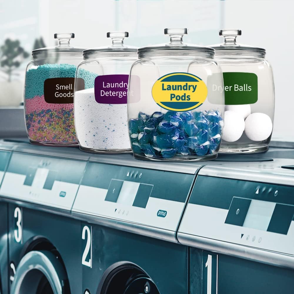 Daitouge 2.5 Gallon Glass Jars with Lids, Wide Opening Large Jar, 1 Pack