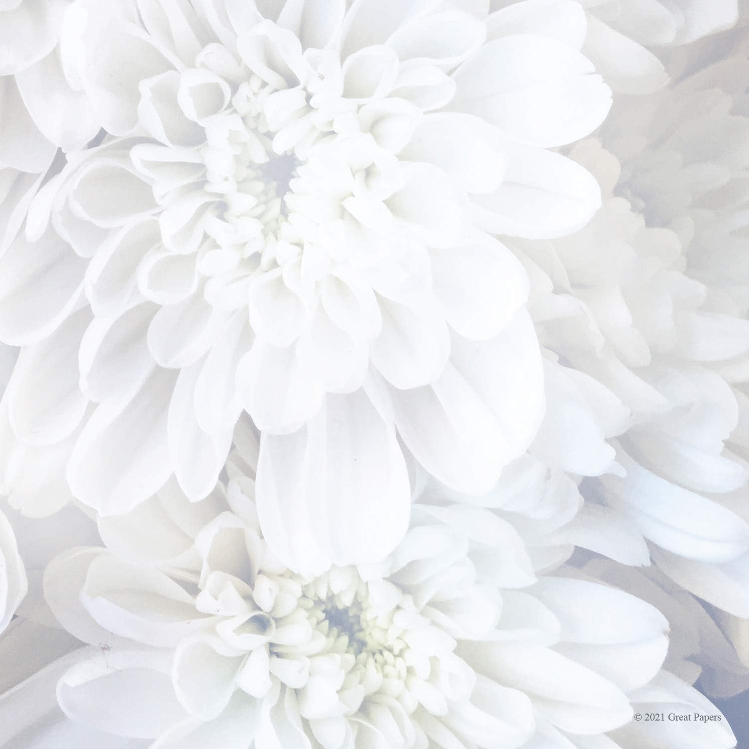 Great Papers! White Soft Petals Letterhead Stationery, 8.5" x 11", 80 count, Inkjet and Laser Printer Compatible (2020144)