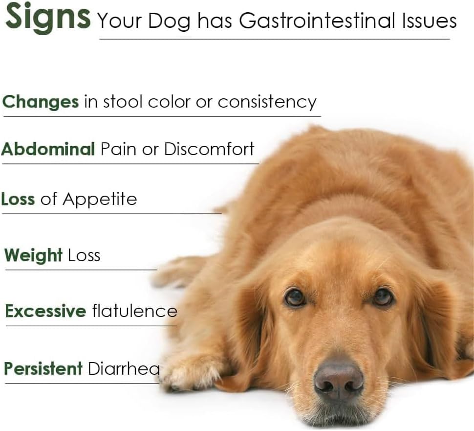 Probiotics and Prebiotics for Dogs – Daily Digestive Health Supplement, Supports Immune System, Gut Health, Healthy Digestion & Nutrient Absorption, 30 Powder Sachets.