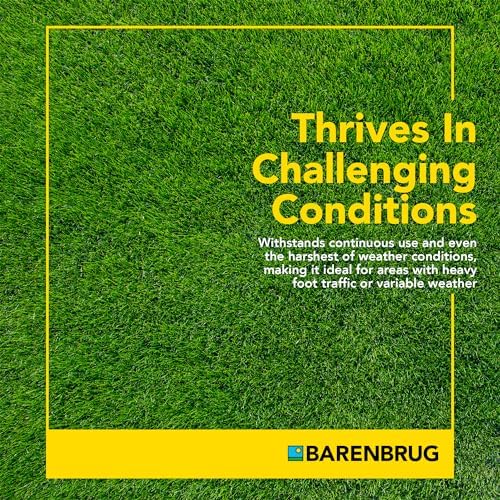 Barenbrug Wonderlawn Winter Grass Seed Mix for Lawn Care and Landscaping, 5 lbs. Bag