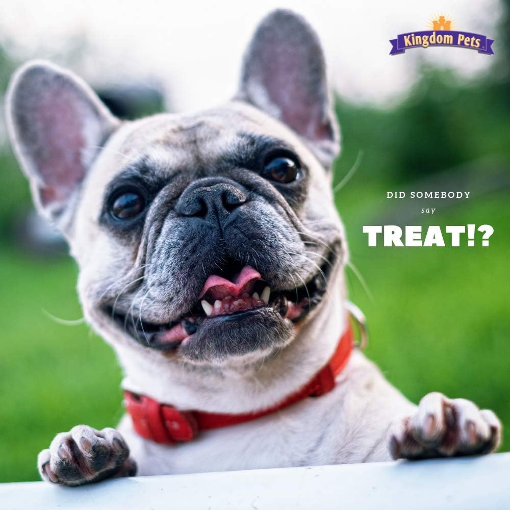 Chicken Jerky Dog Treats with Only 3 Ingredients and No Fillers, 3 Pound Bag