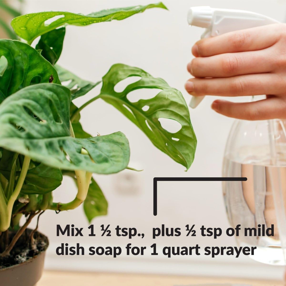 SUPERthrive Organic Pure Neem Oil, Cold-Pressed, Concentrate, 32 oz | 100% cold pressed & filtered. No additives, biodegradable. For leaf polish and plant care.