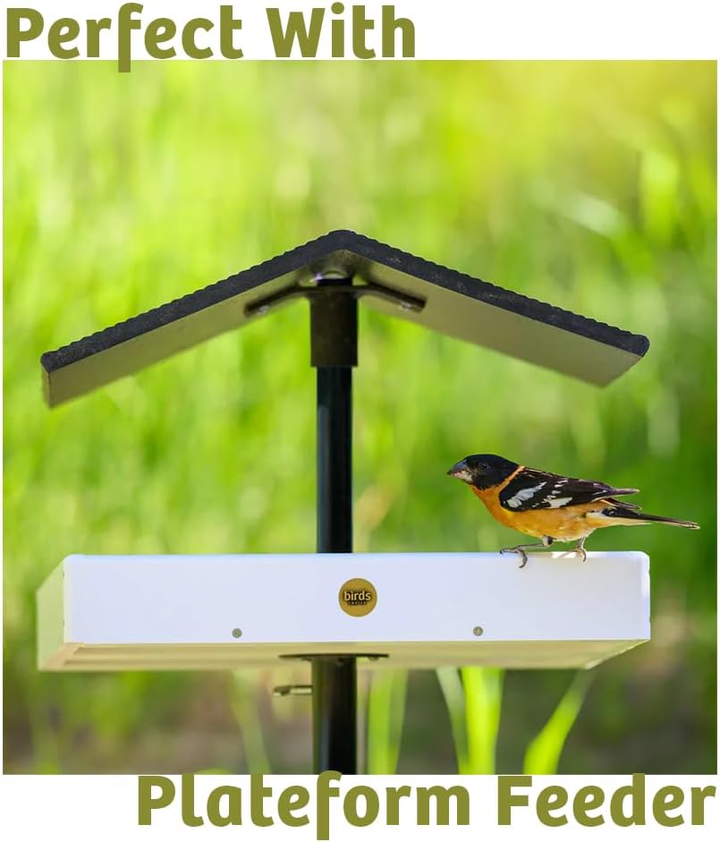 Birds Choice Bugs 'N Nuts Seed Cake | Wild Bird Food with Insects & Fruit | High-Energy Mix of Sunflower Chips, Peanuts