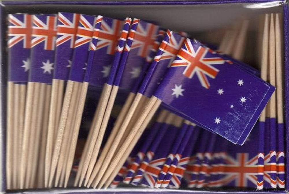 One Box of 100 Nicaragua Toothpick Flags, 100 Small Mini International Flag Cupcake Toothpicks or Cocktail Picks