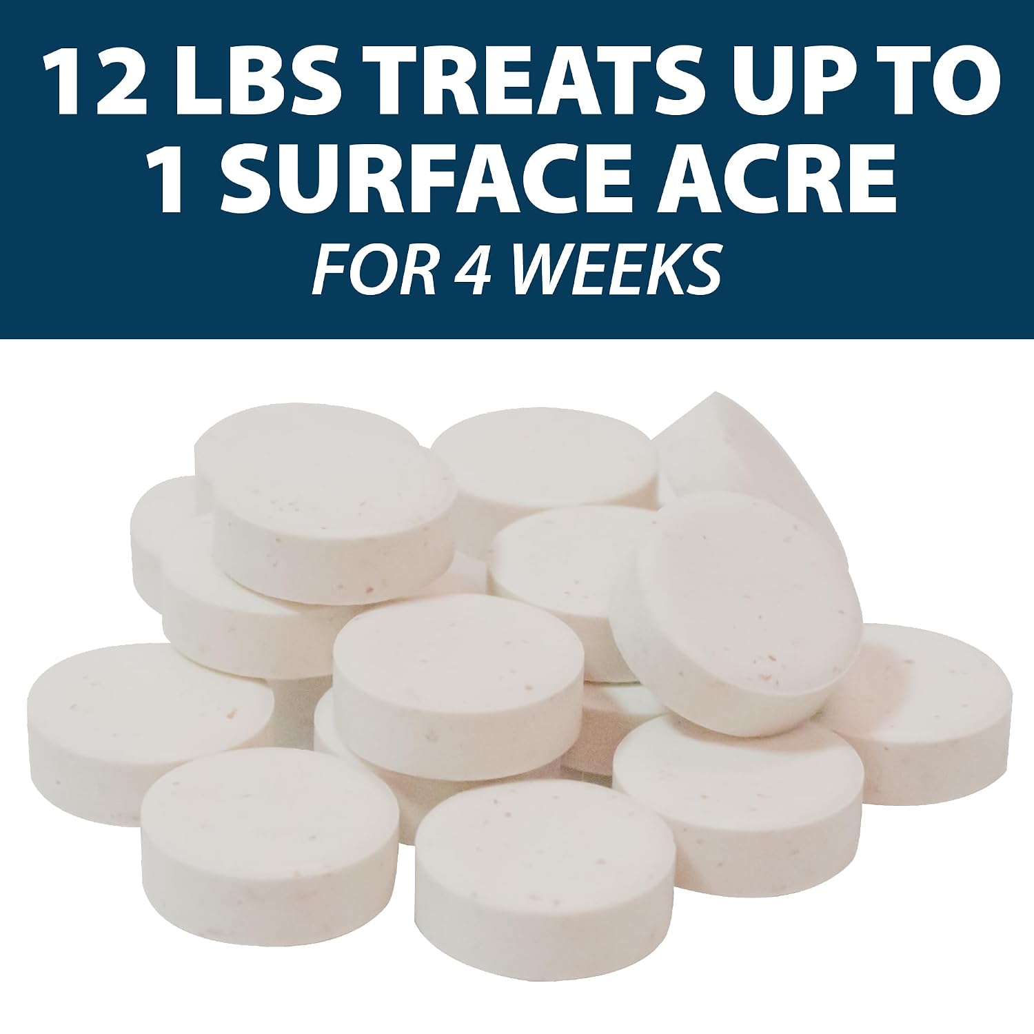 Airmax MuckAway Bacteria Enzyme Tablets for Ponds & Lakes, 16 Scoops | Natural beneficial bacteria muck, sludge & noxious odor solution for cleaner beaches & shorelines; fish, pet & wildlife safe