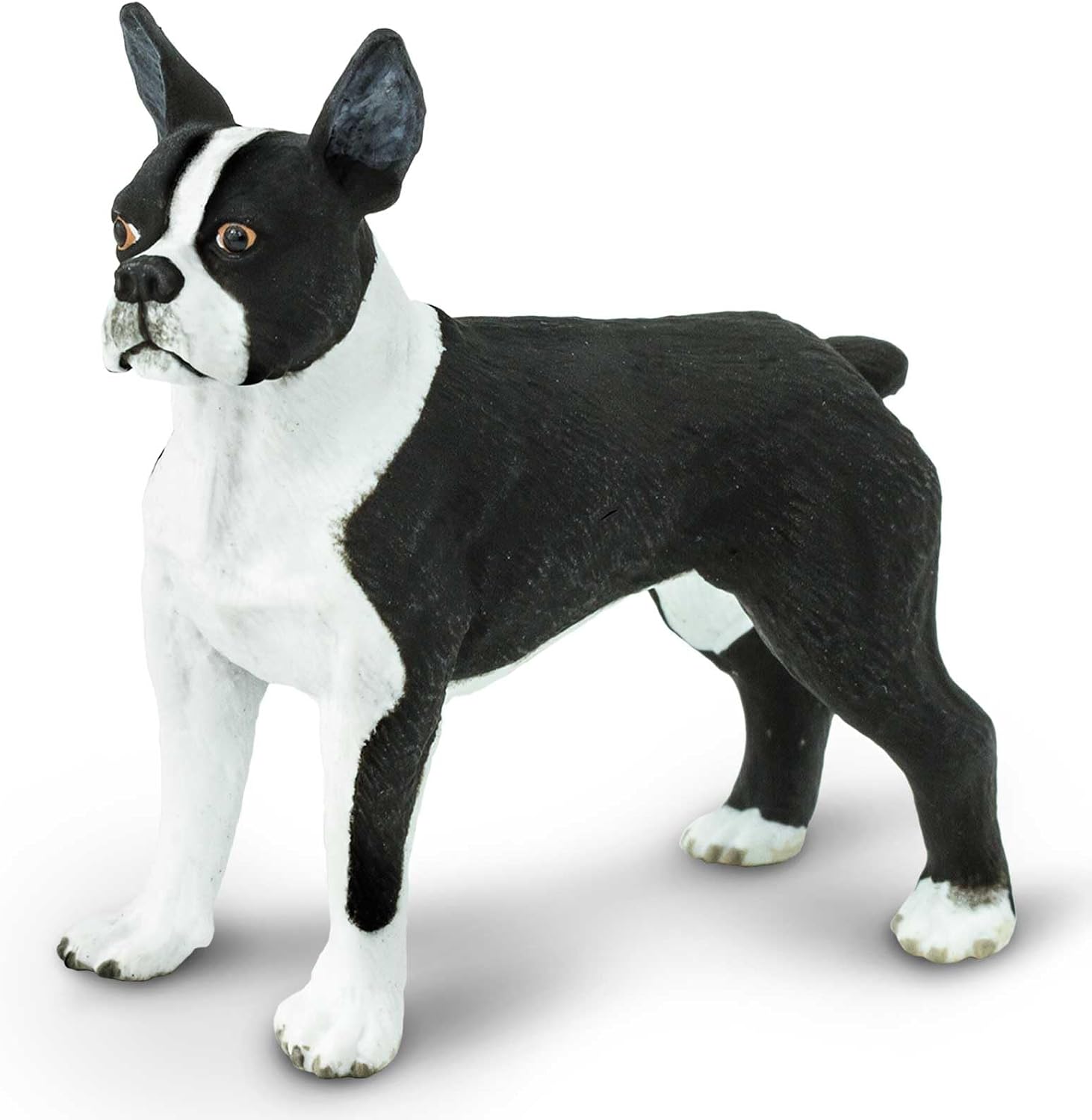 Safari Ltd. Boston Terrier Figurine - Lifelike 2.5" Model Figure - Educational Toy for Boys, Girls, and Kids Ages 3+