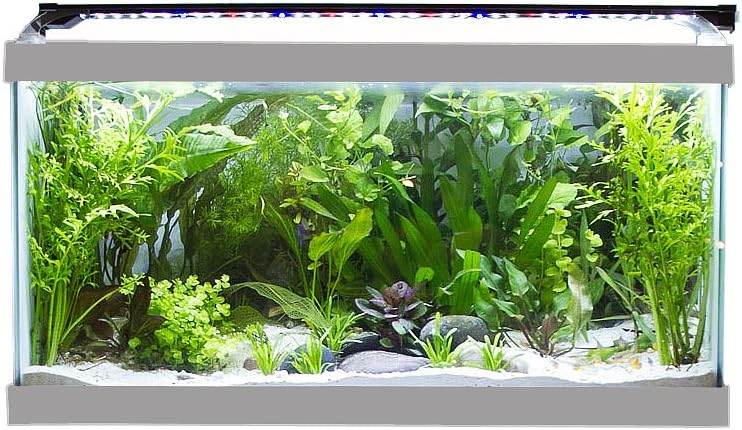 Finnex Stingray Aquarium LED Light, 24-Inch, Black, (JL-24S)