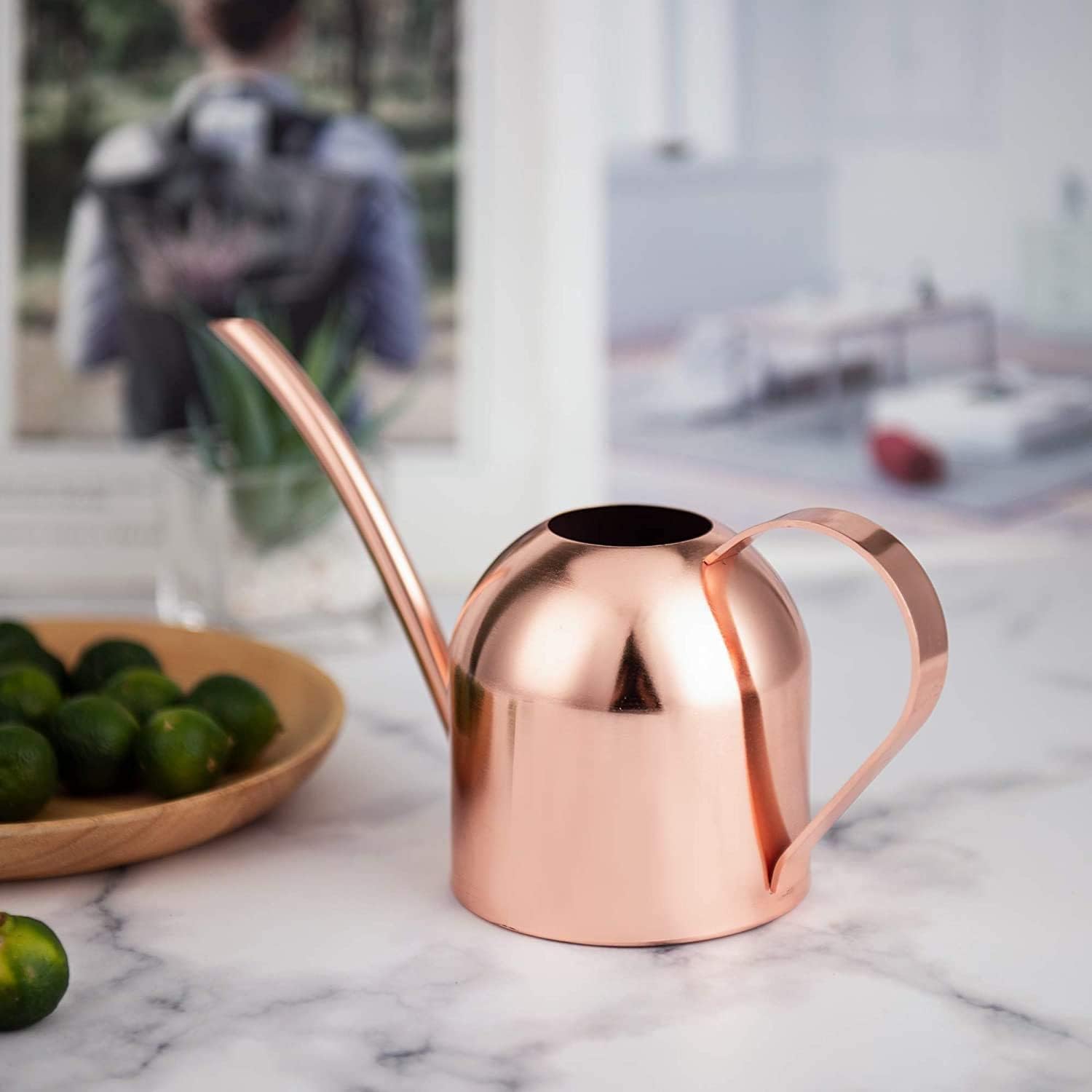 IMEEA Indoor Watering Can for House Plants 33oz/1L Brushed Stainless Steel Watering Can with Long Spout for Succulents, Bonsai