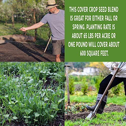 Mountain Valley Seed Co No-Till Garden Farm and Garden Cover Crop Mix Seeds | 5 Lbs - Blend of Gardening Cover Crop Seeds: Hairy Vetch, Daikon Radish, Forage Collards, Triticale, More