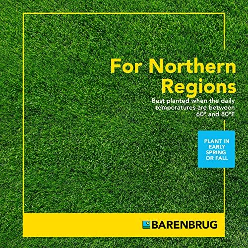 Barenbrug Wonderlawn Landscaper All-Purpose Grass Seed Mix, 15-Lbs., Covers 3,000 Sq. Ft.