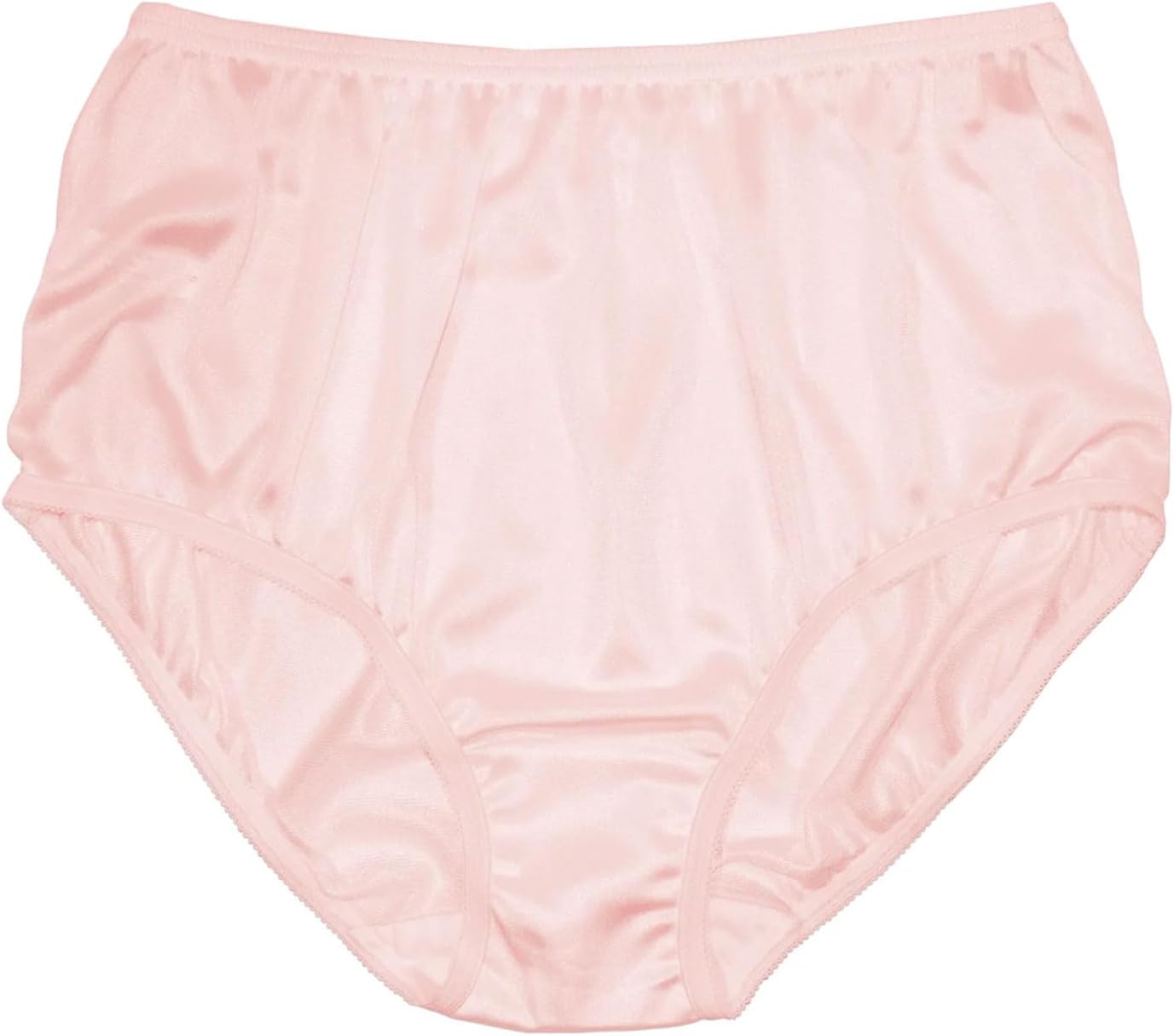 Teri Women's 331 Plain Jane Classic Nylon Silky-Smooth Lightweight Breathable Full Coverage Brief Panty - 4 Pack