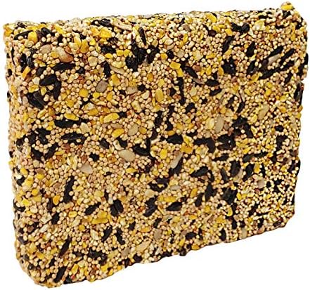 Wildlife Sciences Songbird Treats Seed Bars | 8 Pack of 2 lb Bird Seed Cakes for Wild Birds (Wild Bird Buffet)