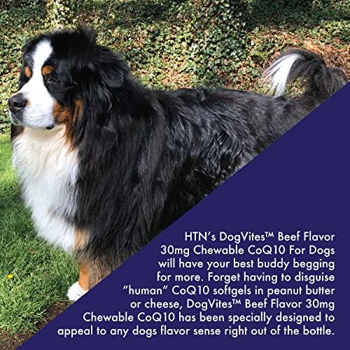 Health Thru Nutrition Dog-Vites CoQ10 for Dogs, 60 Beef-Flavored Chewable Tablets
