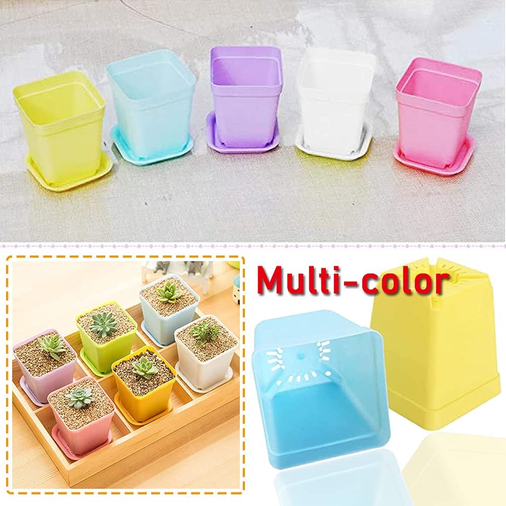 Haawooky 24 Pack Colorful Flower Pots Square Plastic Plant Pots Succulent Planter Nursery Pots with Saucers for Your Room