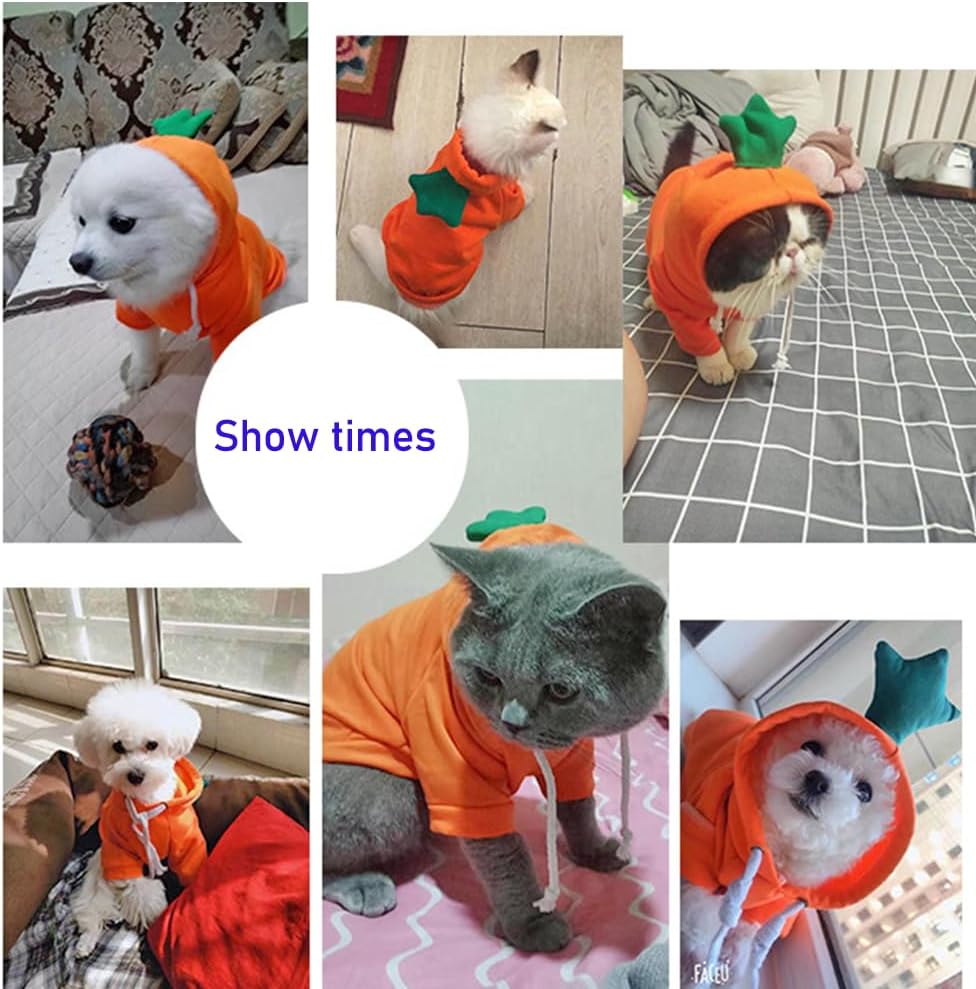 ANIAC Dog Hoodies Sweatshirt with Bunny Ears Spring Puppy Clothes for Small Dog Girl Boy Soft Doggy Sweater Cat Apparel Pet Clothing for Kitten
