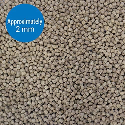 API BOTTOM FEEDER PELLETS WITH SQUID Fish Food 1.3-Ounce Container